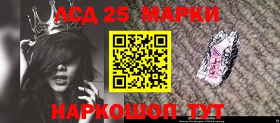 крисы Камышлов