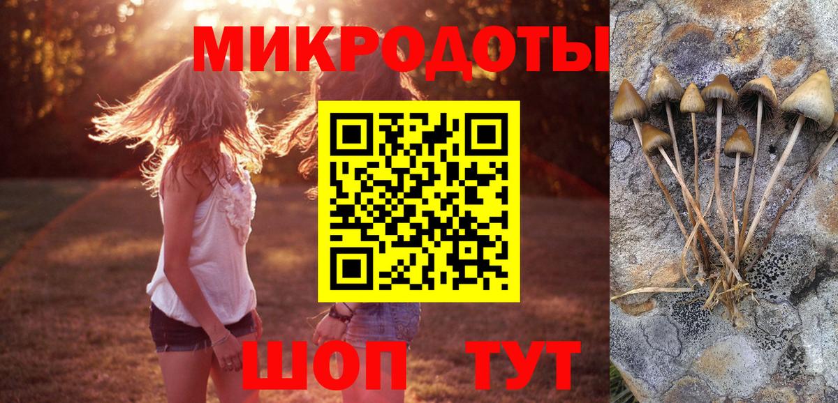 Псилоцибиновые грибы MAGIC MUSHROOMS Лянтор