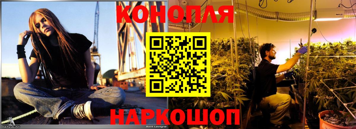 Марихуана конопля Лянтор